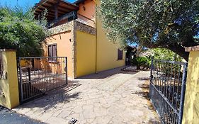 Il Fenicottero